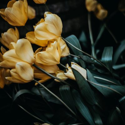 A vibrant bouquet of yellow flowers in full bloom, radiating warmth and cheer.